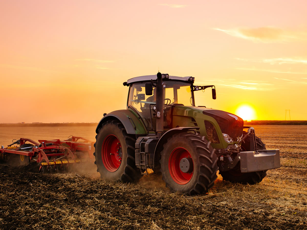 agricultura03